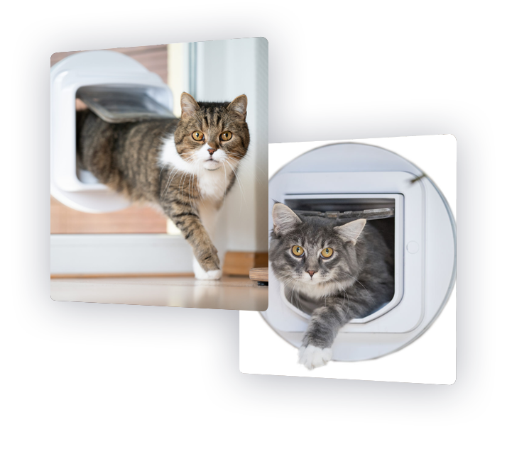 Choosing the right pet flap for your Pet